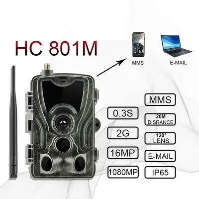 Caméra de chasse et de suivi des sentiers du gibier 2G 20MP 1080P MMS/SMTP/SMS sans fil piège
