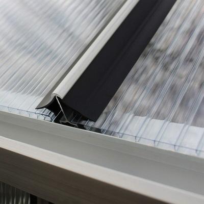 Windsicherung für Gewächshausplatten, schwarz, 6 mm, hkp (8300/9900/11500) - Vitavia Image