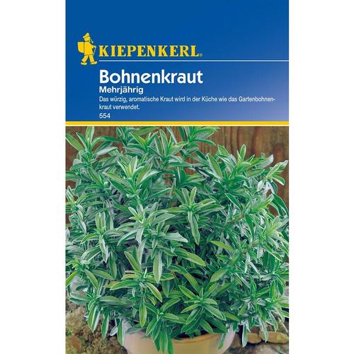 KIEPENKERL® Bohnenkraut - Kräutersamen