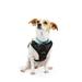 Embrace the Pace Black Front Walking Dog Harness, XX-Large/3X-Large