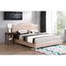 Willa Arlo™ Interiors Sallee Tufted Low Profile Storage Standard Bed Upholstered/Velvet, Wood in Brown | 50 H x 81 W x 86 D in | Wayfair