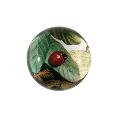 JOHN DERIAN - Ladybug On Leaf Pa...
