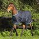 Amigo Foal Rug 50g Ripstop Turnout Rug - Navy Electric Blue Navy 4ft6