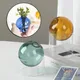 Vase rond hydroponique en verre pour documents décoration de la maison salon mini ornements de