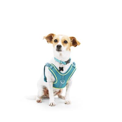 EveryYay Front Walking Reflective Dog Harness, Teal, X-Small/Small