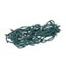 The Holiday Aisle® 50 Light String Lights in Green/White | 1 H x 200 W x 0.25 D in | Wayfair 454EF24DF8D1476D8D514EBE36F76771