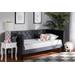 Baxton Studio Cora Modern and Contemporary Grey Velvet Fabric Upholstered and Dark Brown Finished Wood Twin Size Daybed - Wholesale Interiors Cora-Grey Velvet-Daybed-Twin