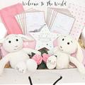 Welcome to The World 11 Piece Twin Baby Girls Gift Hamper Box New Baby Essential, Socks, Toy, Plaque, Blankets, Muslins, Baby Moment Cards Baby Shower Present Mum to Be Gift Bo Bunny Pink (Girl)
