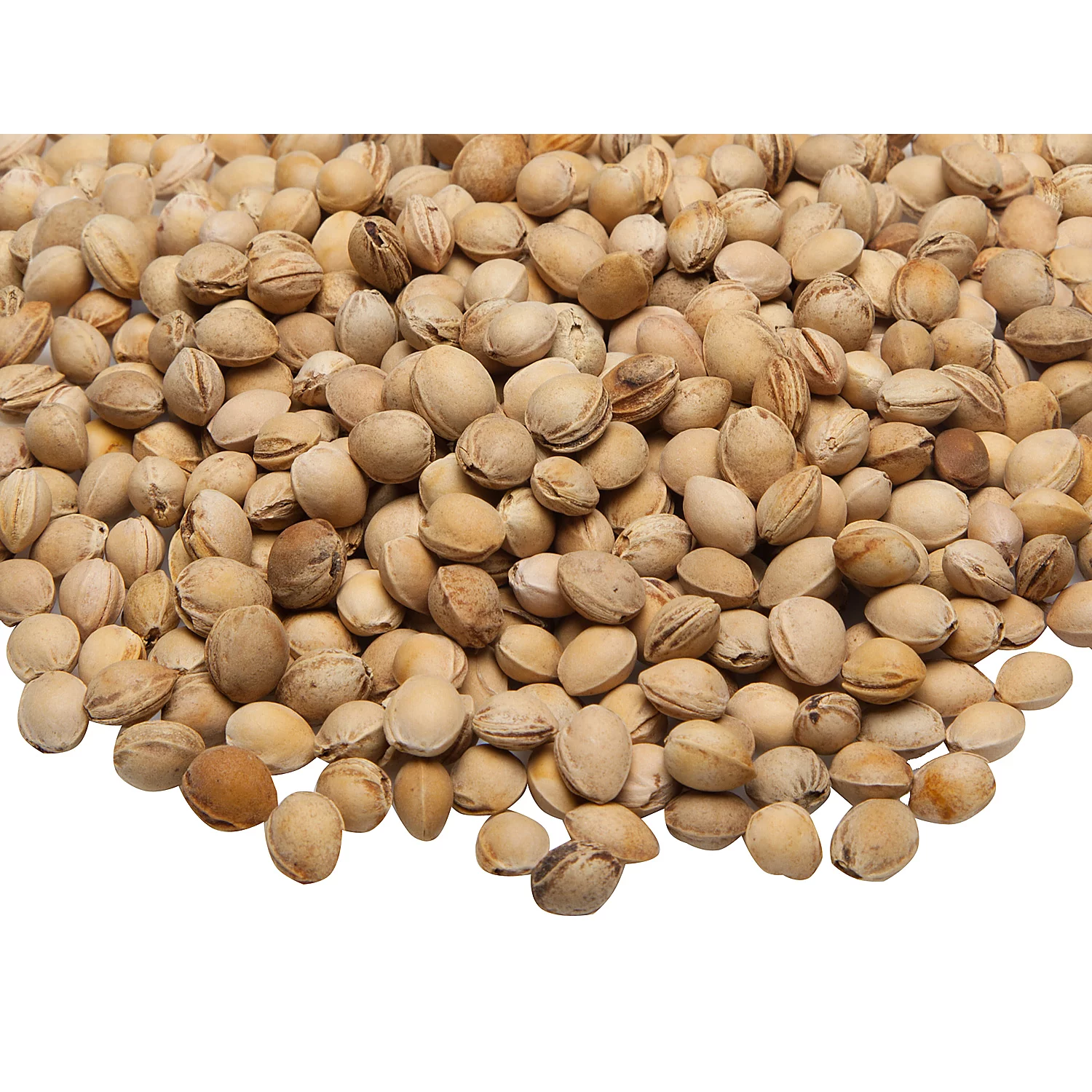 Noyaux de cerises, 500 g / 1000 g