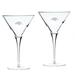 NDSU Bison 2-Piece 10oz. Luigi Bormioli Titanium Martini Glass Set