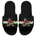 Men's ISlide Black Arizona Coyotes