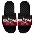 Men's ISlide Black Arizona Coyotes