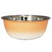 Stainless Steel Deep Dog Bowl - Coral by JoJo Modern Pets in Peach (Size 32 OZ)