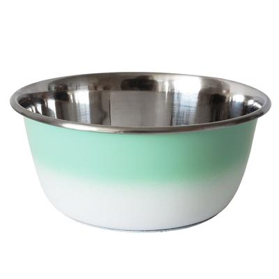 Stainless Steel Deep Dog Bowl - Coral by JoJo Modern Pets in Green (Size 16 OZ)