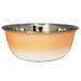 Stainless Steel Deep Dog Bowl - Coral by JoJo Modern Pets in Peach (Size 16 OZ)