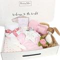 Newborn Baby Gifts Let The Adventure Begin 11 Piece New Baby Gift Hamper New Baby Essentials Clothes, Socks, Toy, Plaque, Baby Moment Cards Baby Shower Present Mum to Be Gift Gmily Hare (Girl)