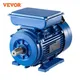 VEVOR Moteur Asynchrone Monophasé 2200 W 2860 tr/min Réversible Moteur à Courant Alternatif pour