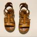 American Eagle Outfitters Shoes | American Eagle Gladiator Sandals | Color: Brown/Tan | Size: 6