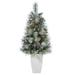 3.5' Frosted Artificial Christmas Tree with 50 Lights in Planter