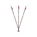 Carbon Express D-Stroyer MX Hunter 350 6-pack Arrows 51148