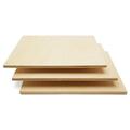 Baltic Birch Plywood 12 x 12 x 1/4 Inch - 6 mm Craft Wood Box of 100 B/BB Grade Baltic Birch Sheets Perfect for Laser CNC Cutting and Wood Burning by Woodpeckers