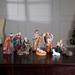 The Holiday Aisle® 11 Piece Nativity Figurine Set Resin | 8 H x 16 W x 20 D in | Wayfair D6AD7B450F2645E3BF65ECA90C3B0ED9