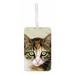 Green Eyed Kitten Design Double Sided Luggage Identifier Bag Tag with Loop