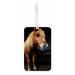 Chestnut Horse Double Sided Luggage Identifier Bag Tag