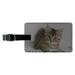 Shorthair Tabby Kitten Cat Computer Mouse Keyboard Rectangle Leather Luggage Card Suitcase Carry-On ID Tag