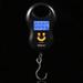 ACOUTO Luggage Hook Scale, Electronic Scale, Portable 50kg/10g LCD Digital Hanging Weight Electronic Luggage Hook Scale