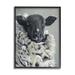 Stupell Industries Vintage Dorper Sheep Farm Animal Shaggy Fur Gray Farmhouse Oversized Rustic Framed Giclee Texturized Art By Suzi Redman | Wayfair