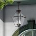 Alcott Hill® Boto Outdoor Hanging Lantern Brass/Glass/Metal in Brown | 24.5 H x 15 W x 15 D in | Wayfair 842F3C6ADC4940988DC1C08B19B2E2BF