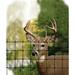 Tenax Corporation Tenax Economy Poly Deer Fence Artificial Hedge in Black | 72 H x 1985 W x 0.01 D in | Wayfair 2A120053