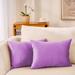 Everly Quinn Set Of 2 Throw Pillow Velvet Cushion Covers Velvet in Indigo | 14 H x 20 W x 1 D in | Wayfair F1DC2D7C949D45EB84AFD0F944950E0B