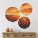 East Urban Home Designart 'Beautiful Poppy Field At Sunset' Abstract Wood Wall Art Set Of 3 Circles Wood in Brown | 34 H x 44 W x 1 D in | Wayfair