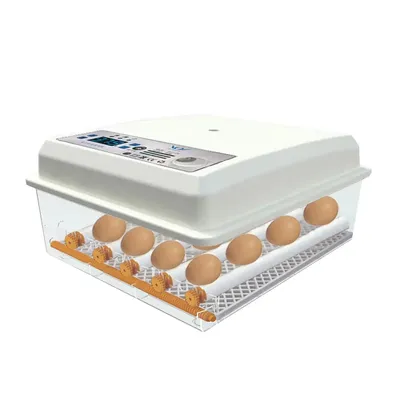 Incubateur d'œufs automatique 220V, couveuse pour poulailler, équipement agricole, électronique,
