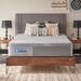 Sealy Paterson 12-inch Medium Hybrid Mattress