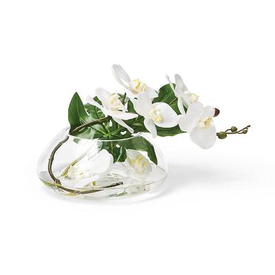 Orchid Glass Vessel Arrangement - Frontgate
