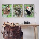 Stupell Industries Tropical Hibiscus Flower Jungle Animals Koala Panda Sloth by Lisa Lane - 3 Piece Graphic Art Set Canvas in Brown/Green | Wayfair