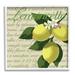 Stupell Industries Lemoncello Text Blooming Floral Lemon Branch Traditional Script by - Textual Art in Green | 24 H x 24 W x 3 D in | Wayfair