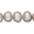 Silver Freshwater Cultured Pearls Natural Keshi Pearls B+ Graded 11x7x10mm (Approx.) 15.5Inch Strings/40Pearls