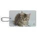 Shorthair Tabby Kitten Cat Computer Mouse Keyboard Luggage Card Suitcase Carry-On ID Tag
