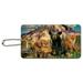 Mount Rainier National Park Washington WA Animals Bear Fox Cougar Deer Wolf Wood Luggage Card Suitcase Carry-On ID Tag