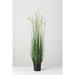 Sullivans Artificial Potted Dogtail Grass 48"H Green - 48"H x 12"L x 12"W