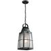 Kichler Lighting Tolerand 1-Light Outdoor Hanging Lantern Glass/Metal/Steel in Black/Gray | 19.75 H x 9.5 W x 13 D in | Wayfair 49556BKT