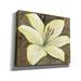 Red Barrel Studio® 'Neutral Lily I' By Tim O'toole, Canvas Wall Art, 54"X40" Canvas, Solid Wood in Brown/Yellow | 20 H x 24 W x 0.75 D in | Wayfair