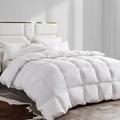 Alwyn Home 750 Fill Power All Season Down & Feather Blend Comforter Goose Down, Cotton in White | 90 H x 68 W x 1.38 D in | Wayfair