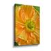 Latitude Run® Orange Poppy By Cora Niele Gallery Canvas, Glass in White | 36 H x 24 W x 2 D in | Wayfair 2504F96385B54ADABCE955D2A8BA6E13