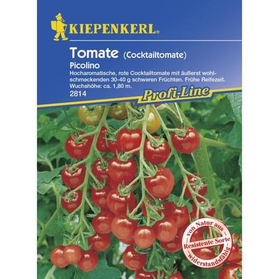 Tomate Picolino Solanum lycopersicum, Inhalt 6 Korn Gemüsesamen - Kiepenkerl Image