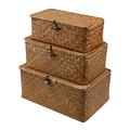 Wicker Storage Basket Woven Rattan Storage Box With Lids Seagrass Laundry Baskets Makeup Organizer For Bathroom, Living Room, Kitchen (S+M+L)